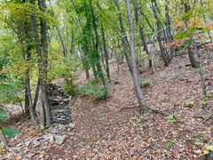 -帽儿山国家森林公园