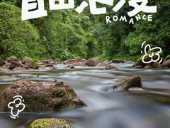 -普洱太阳河森林公园