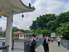 -荔湾湖公园