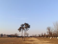 -汉长安城未央宫国家考古遗址公园