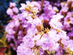 -何兮花店·气球派对鲜花店(马桥银春路万科城店)