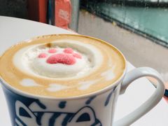 -喵屿·大理花园猫咖