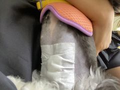 -美联众合动物医院·24h转诊中心