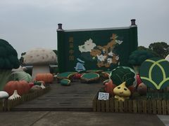 -上海都市菜园