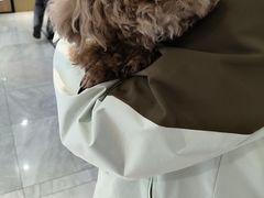 -北京派仕佳德动物医院·超导核磁·CT·神经科·骨科·内外科·急重症管理中心