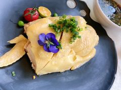 白斩鸡-聚鑫阁江浙菜·非遗传承技艺(青村帝华园店)