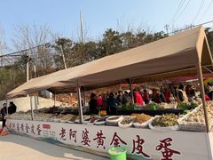 -五凤溪古镇