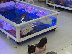 -万达广场(惠州大亚湾店)