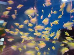 -双季花艺园艺市场(浦东店)