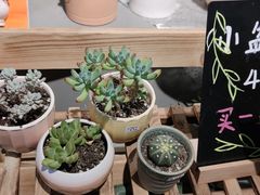 -Olé精品超市(上海虹桥南丰城店)