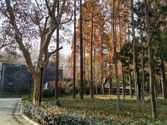 -徐家汇源景区-衡山公园