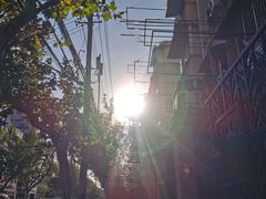 -晶牌烤鸭(延吉东路557弄小区店)