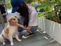 -三姐妹·海鲜大排档