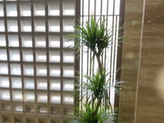 -益健·足疗汗蒸SPA(芙蓉广场店)