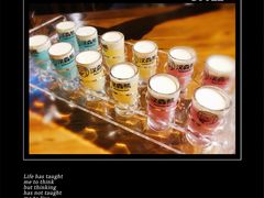 -汉森熊啤酒屋(雨耕山店)