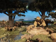 -国家自然博物馆