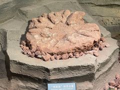 -辽宁古生物博物馆