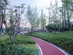 -府河摄影公园