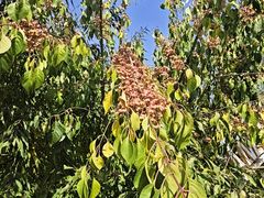 -大同煤炭博物馆