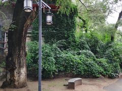 -北山公园