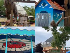 -海合安武汉极地海洋公园