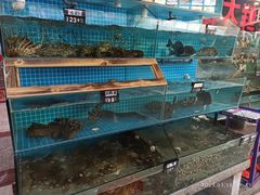 -渔鼎鲜海鲜餐厅(湄洲岛店)