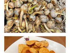 -大观篆新农贸市场