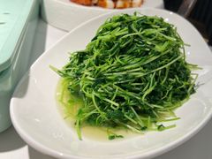 鸡油豆苗-羲和雅苑•北京烤鸭(国贸商城店)