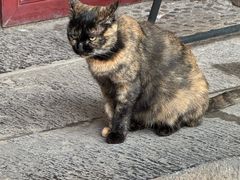 -万寿八仙宫