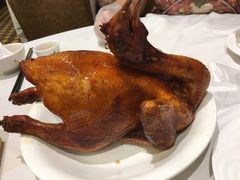 -稻香酒家·33年老字号·港式粤菜(富邦中心店)