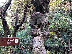 -上海方塔园