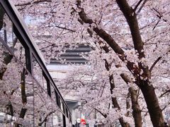 -上海南浦大桥长途旅游客运站