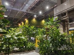 -兴芮温泉度假区