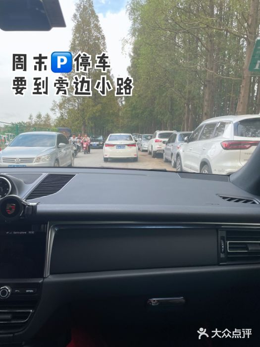 芦潮港集贸市场图片