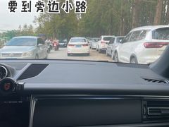 -芦潮港集贸市场