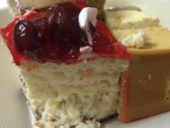 -维尔纳斯·生日蛋糕动物奶油冰淇淋蛋糕(人大店)
