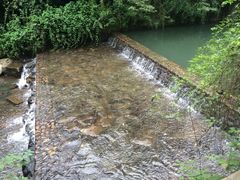 iphone_upload_pic-九溪烟树