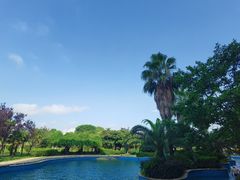 -洪湖悦兮半岛国际温泉度假村