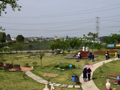 -紫颐香薰山谷景区