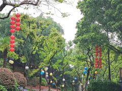 -椰椰榴椰子鸡·糟粕醋火锅(兴华南街店)