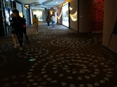 -万达影城(汉街万达广场IMAX店)