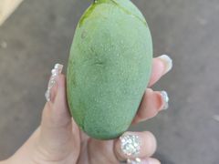 -西双版纳傣族园