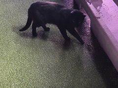 -南京眼步行桥