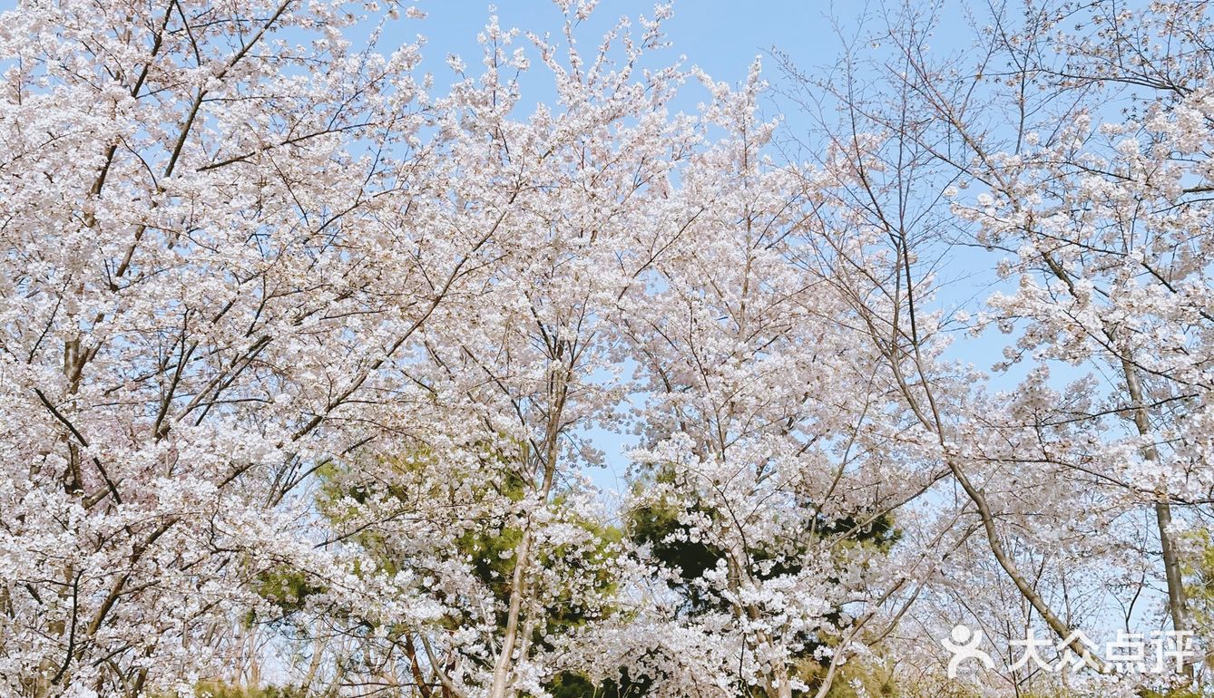 玉渊潭来啦