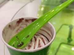 -Salud撒露欧洲冻酸奶(蓝色港湾店)
