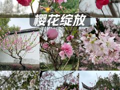 -乌山风景区