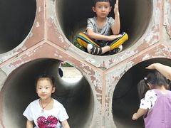 -北京麋鹿生态实验中心