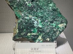 -湖南省地质博物馆