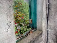 -美心红酒小镇游乐园