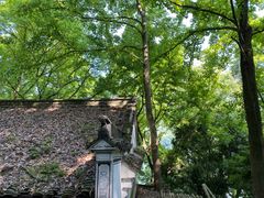 -严子陵钓台(富春江小三峡)